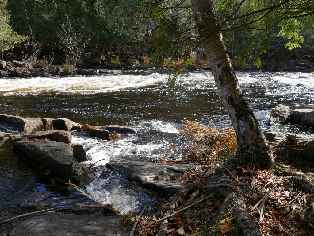 Fall colours in Haliburton Highlands Postcards Ontario